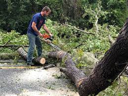 Mulching Services in Orcutt, CA