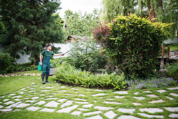 Lawn Watering Services in Orcutt, CA